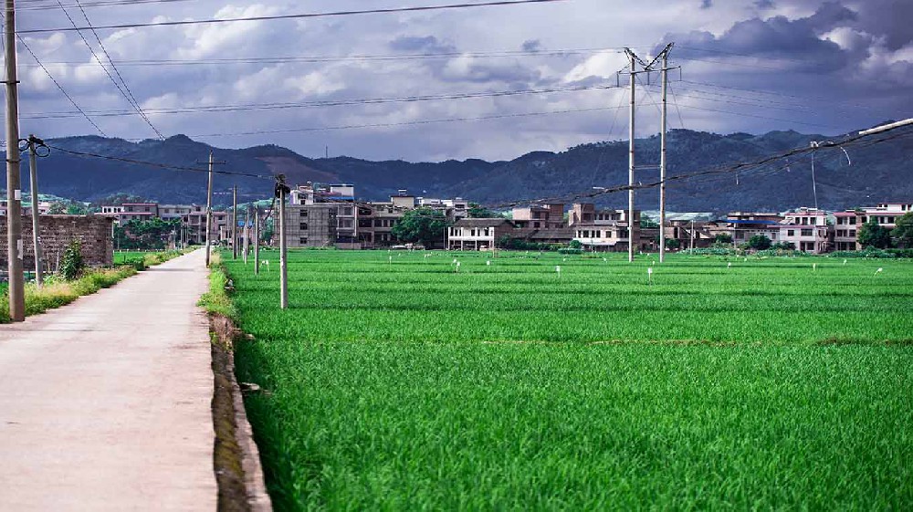 六盘水市内蒙古乡村沃畉农业服务购…