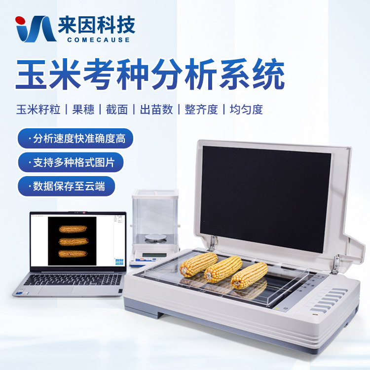 六盘水市疏附县农业农村局购进来因…